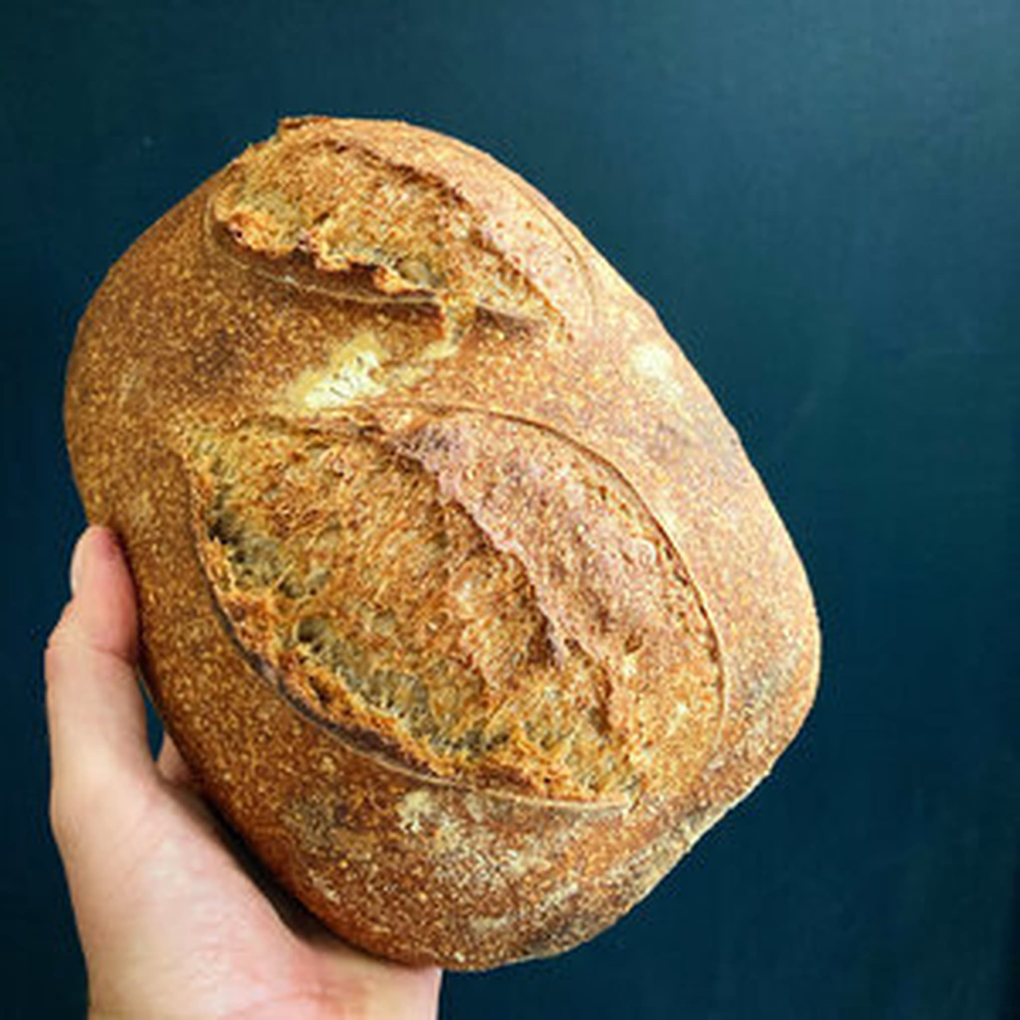 Nourish Wholemeal Sourdough