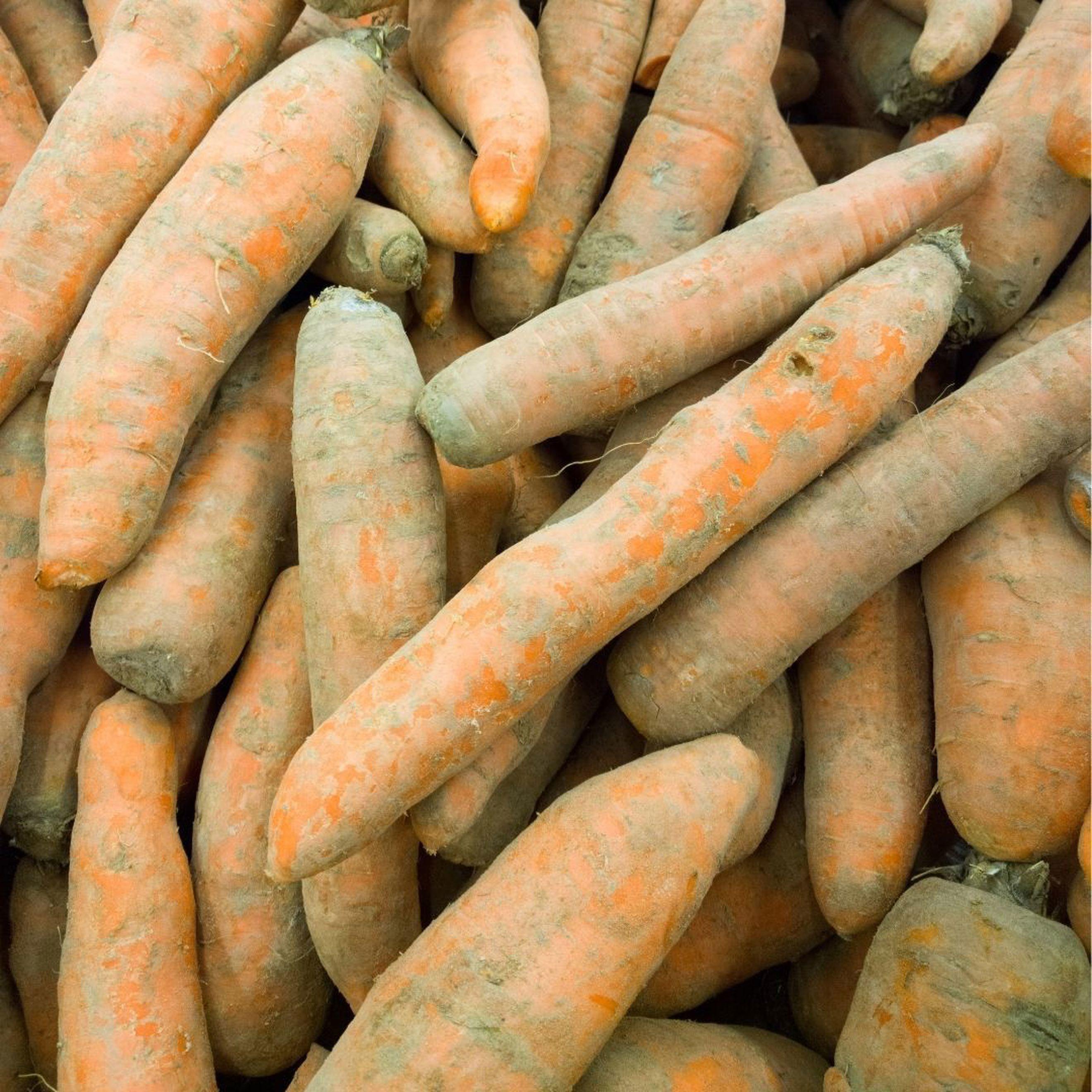 Organic Dirty Carrots